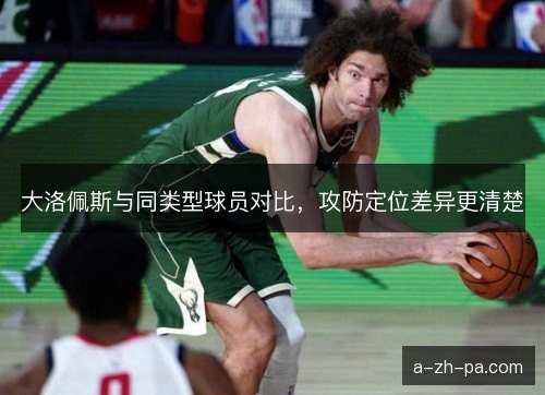 大洛佩斯与同类型球员对比，攻防定位差异更清楚